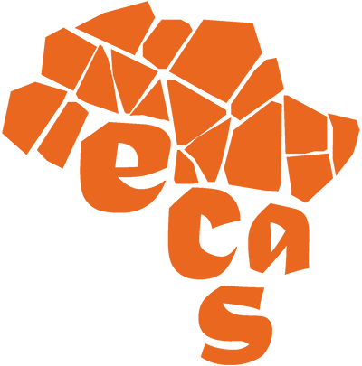 ECAS7: 7th European conference on African Studies